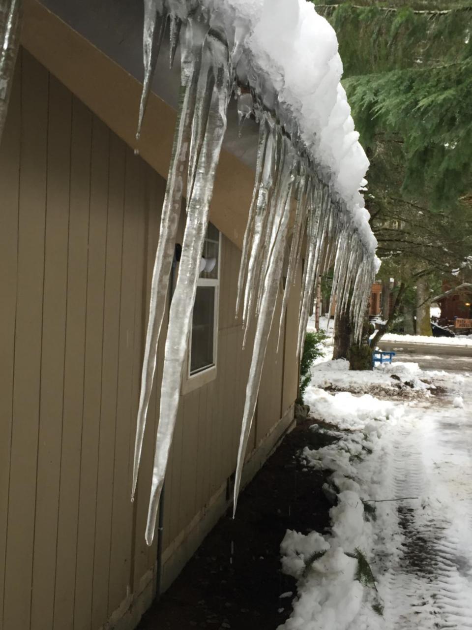 Chalet At Mt. Rainier Villa แอชฟอร์ด ภายนอก รูปภาพ